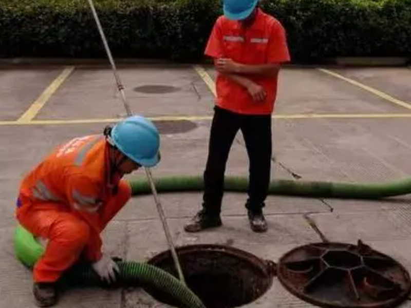 北京福宇庭院绿化专业设计花架凉亭木屋门楼假山秋千等